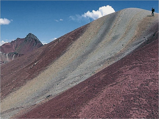 colori delle ande