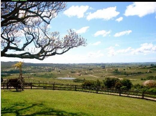 <http://www.tripadvisor.ie/Attraction_Review-g1871578-d2290015-Reviews-The_Garzon_Experience-Garzon_Maldonado_Department.html