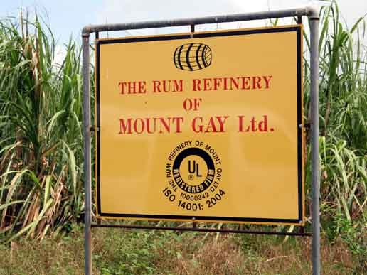 mount gay rum