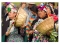cerimonia mapuche