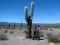 Parque Los Cardones