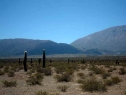 Parque Los Cardones