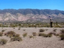 Parque Los Cardones