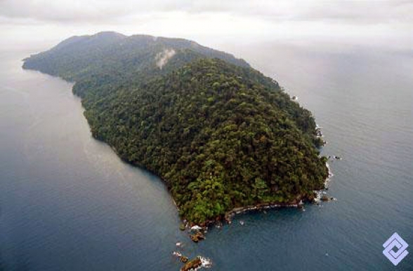 isla gorgona