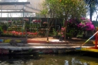 giardini galleggianti xochimilco